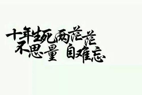 “十年生死两茫茫，不思量自难忘”是什么意思？ 是什么梗？ – 【最新网络热词】