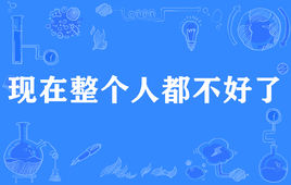 “现在整个人都不好了”是什么意思？ 是什么梗？ – 【最新网络热词】
