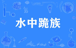 “水中跪族”是什么意思？ 是什么梗？ – 【最新网络热词】