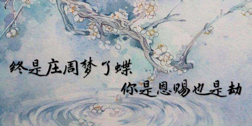 “终是庄周梦了蝶，你是恩赐也是劫”是什么意思？是什么梗？ – 【最新网络热词】