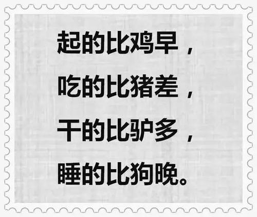 “起的比鸡早，睡的比狗晚”是什么意思？ 是什么梗？ – 【最新网络热词】