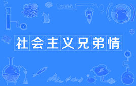 “社会主义兄弟情”是什么意思？是什么梗？ – 【最新网络热词】