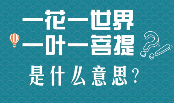 “一花一世界，一叶一菩提”是什么意思？ 是什么梗？ – 【最新网络热词】