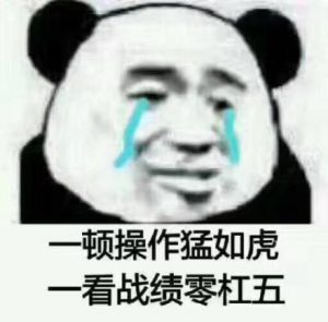 一顿操作猛如虎，一看战绩零杠五 是什么梗？ – 【最新网络热词】