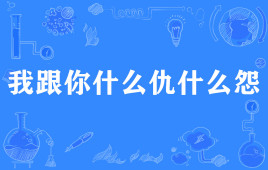 “我跟你什么仇什么怨”是什么梗？ 是什么梗？ – 【最新网络热词】