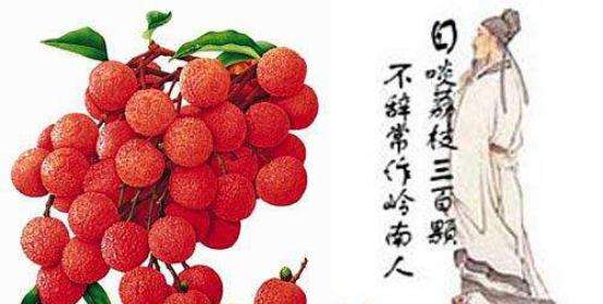 “日啖荔枝三百颗，不辞长作岭南人”是什么意思？是什么梗？ – 【最新网络热词】