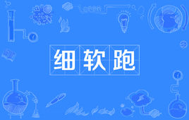 网络上的“细软跑”是什么意思？ 是什么梗？ – 【最新网络热词】