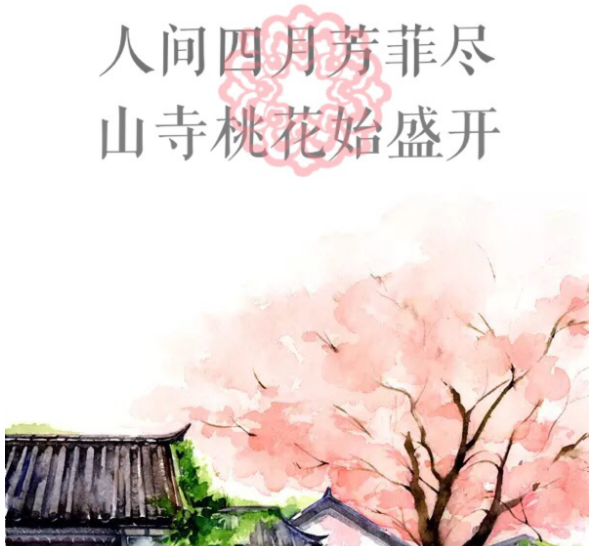 “人间四月芳菲尽，山寺桃花始盛开”是什么意思？ 是什么梗？ – 【最新网络热词】