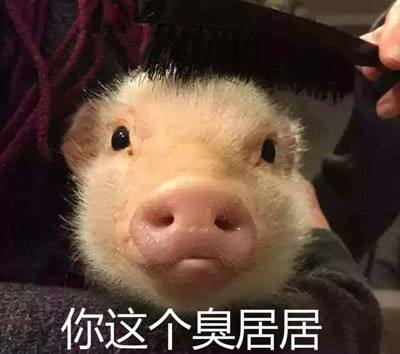 女生说你是“臭居居”是什么意思？ 是什么梗？ – 【最新网络热词】