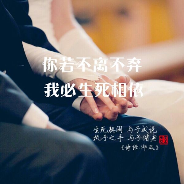 “你若不离不弃，我必生死相依”是什么意思？是什么梗？ – 【最新网络热词】