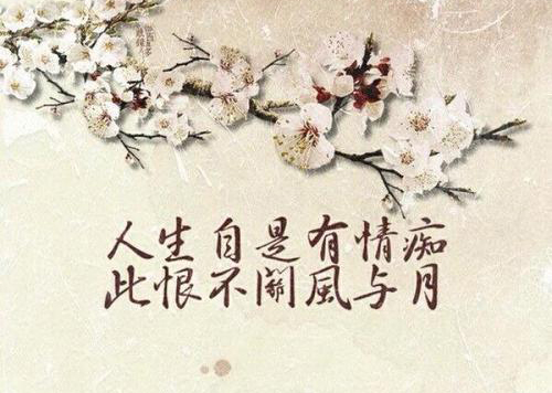 “人生自是有情痴，此恨不关风与月”是什么意思？是什么梗？ – 【最新网络热词】