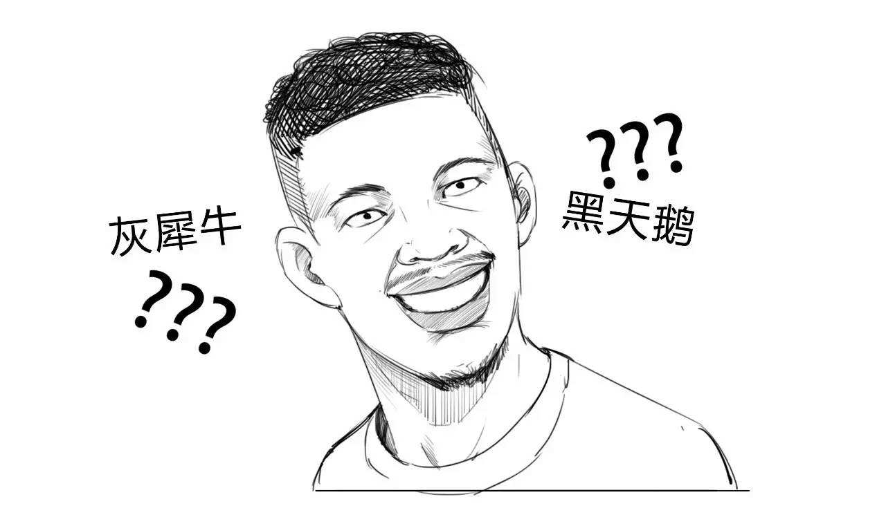 “黑天鹅事件”和“灰犀牛事件”是什么意思？是什么梗？ – 【最新网络热词】