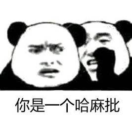 “你是一个哈麻批”是什么意思？ 是什么梗？ – 【最新网络热词】