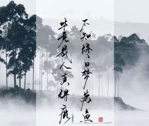 “毕竟几人真得鹿，不知终日梦为鱼”是什么意思？是什么梗？ – 【最新网络热词】