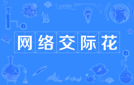 “网络交际花”是什么意思？是什么梗？ – 【最新网络热词】