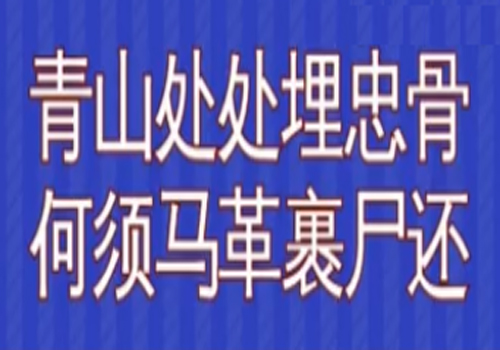 “青山处处埋忠骨，何须马革裹尸还”是什么意思？是什么梗？ – 【最新网络热词】