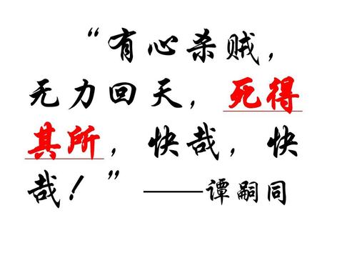 “有心杀贼,无力回天,死得其所,快哉快哉”是什么意思？是什么梗？ – 【最新网络热词】