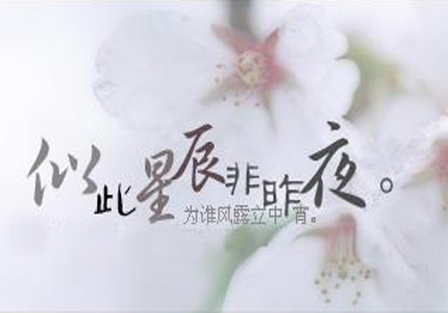 “似此星辰非昨夜，为谁风露立中宵”是什么意思？是什么梗？ – 【最新网络热词】