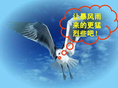 “让暴风雨来的更猛烈些吧”是什么意思？ 是什么梗？ – 【最新网络热词】