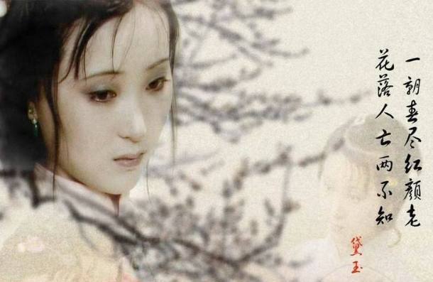 “一朝春尽红颜老，花落人亡两不知”是什么意思？ 是什么梗？ – 【最新网络热词】