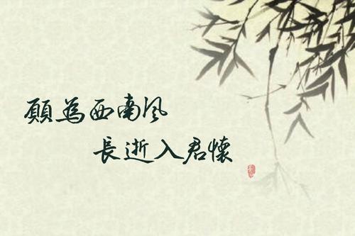 “愿为西南风，长逝入君怀”是什么意思？ 是什么梗？ – 【最新网络热词】