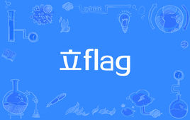 “立flag”是什么意思？ 是什么梗？ – 【最新网络热词】