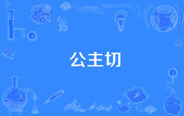 “公主切”是什么意思？是什么梗？ – 【最新网络热词】