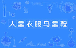 “人靠衣服马靠鞍”和“人靠衣装佛靠金装”是什么意思？是什么梗？ – 【最新网络热词】