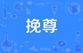 网络上的“挽尊”是什么意思？是什么梗？ – 【最新网络热词】