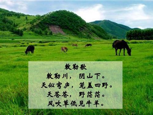 “天苍苍,野茫茫,风吹草低见牛羊”是什么意思？是什么梗？ – 【最新网络热词】