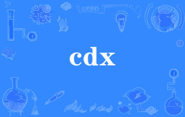 网络上的“cdx”是什么意思？ 是什么梗？ – 【最新网络热词】
