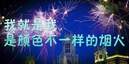 “我就是我，是颜色不一样的烟火”是什么意思？是什么梗？ – 【最新网络热词】