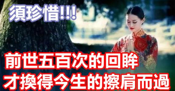 “前世的五百次回眸,换得今生的一次擦肩而过”什么意思？是什么梗？ – 【最新网络热词】