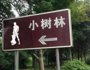 “带你去小树林”是什么梗？ 是什么梗？ – 【最新网络热词】