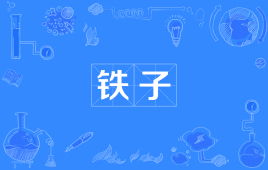 【网络用语】“铁子”是什么意思？是什么梗？ – 【最新网络热词】