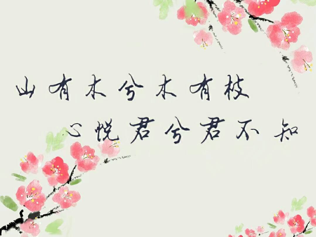 “山有木兮木有枝，心悦君兮君不知”是什么意思？是什么梗？ – 【最新网络热词】