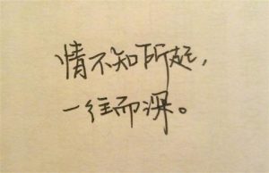 “情不知所起，一往情深”是什么意思？